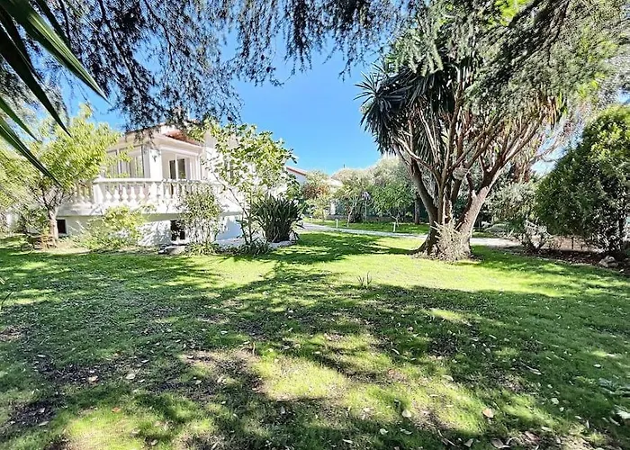 Villa Valentina Bord De Au Calme Antibes